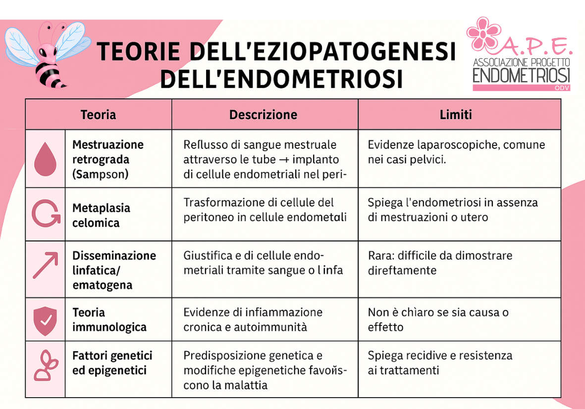 immagine causa endometriosi
