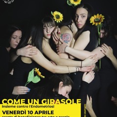 Modena come un girasole