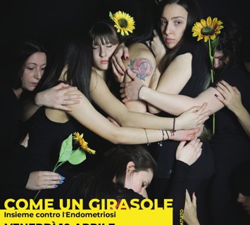 Modena come un girasole